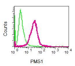 Flow cytometry of permeabilized Jurkat cells using anti-PMS1 antibody (red)or a rabbit IgG (negative) (green).