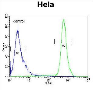 HS3ST2 Antibody flow cytometry of HeLa cells (right histogram) compared to a negative control cell (left histogram). FITC-conjugated goat-anti-rabbit secondary antibodies were used for the analysis.
