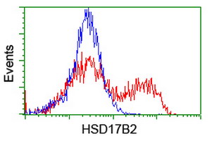 HEK293T cells transfected with either overexpress plasmid (Red) or empty vector control plasmid (Blue) were immunostained by anti-HSD17B2 antibody, and then analyzed by flow cytometry.