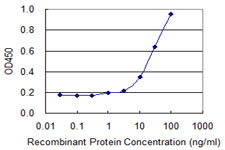 Detection limit for recombinant GST tagged HSD3B2 is 0.3 ng/ml as a capture antibody.