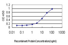 Detection limit for recombinant GST tagged HSF2 is approximately 0.3 ng/ml as a capture antibody.