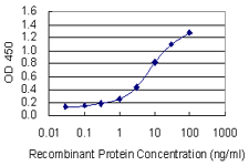 Detection limit for recombinant GST tagged HSPA6 is 0.1 ng/ml as a capture antibody.