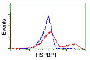 HEK293T cells transfected with either overexpress plasmid (Red) or empty vector control plasmid (Blue) were immunostained by anti-HSPBP1 antibody, and then analyzed by flow cytometry.