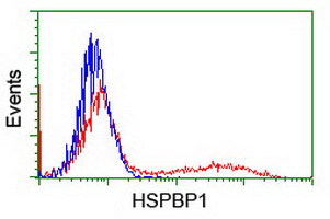 HEK293T cells transfected with either overexpress plasmid (Red) or empty vector control plasmid (Blue) were immunostained by anti-HSPBP1 antibody, and then analyzed by flow cytometry.