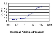 Detection limit for recombinant GST tagged NFX1 is approximately 0.1 ng/ml as a capture antibody.