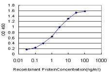 Detection limit for recombinant GST tagged NFYB is approximately 0.1 ng/ml as a capture antibody.