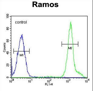 NIPAL1 Antibody flow cytometry of Ramos cells (right histogram) compared to a negative control cell (left histogram). FITC-conjugated goat-anti-rabbit secondary antibodies were used for the analysis.