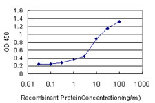 Detection limit for recombinant GST tagged PPARBP is approximately 0.3 ng/ml as a capture antibody.