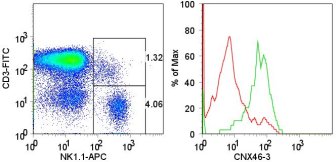Mouse (C57/Bl6) splenocytes were stained with 0.5 ug anti-mouse CD160 (CNX46-3) (LS-C106894) followed by PE anti-rat IgG (LS-C106894) on NK1.1+CD3- cells (red line) and NK1.1+CD3+ cells (green line), as gated in the dot plot (left panel).