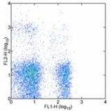 Staining of C57Bl/6 splenocytes with FITC anti-mouse CD3e (145-2C11) (LS-C105774) and 0.125 ug of PE anti-mouse NK-1.1 (PK136). Cells in the lymphocyte gate were used for analysis.