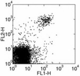 Staining of C57BL/6 mouse splenocytes with anti-mouse NK-1.1 (PK136) PE and anti-mouse pan-NK cells (DX5) FITC. Total viable cells were used for analysis.