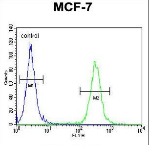 NKPD1 Antibody flow cytometry of MCF-7 cells (right histogram) compared to a negative control cell (left histogram). FITC-conjugated goat-anti-rabbit secondary antibodies were used for the analysis.