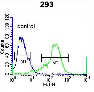 NKX1-2 Antibody flow cytometry of 293 cells (right histogram) compared to a negative control cell (left histogram). FITC-conjugated goat-anti-rabbit secondary antibodies were used for the analysis.