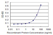 Detection limit for recombinant GST tagged NME6 is 1 ng/ml as a capture antibody.
