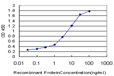 Detection limit for recombinant GST tagged NOLC1 is approximately 0.03 ng/ml as a capture antibody.