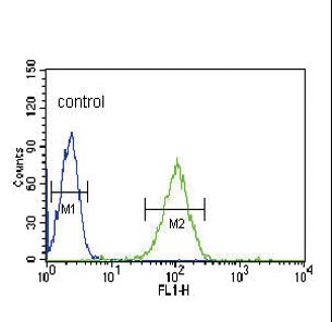 NOS3 Antibody flow cytometry of HL-60 cells (right histogram) compared to a negative control cell (left histogram). FITC-conjugated goat-anti-rabbit secondary antibodies were used for the analysis.