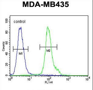 NPM3 Antibody flow cytometry of MDA-MB435 cells (right histogram) compared to a negative control cell (left histogram). FITC-conjugated goat-anti-rabbit secondary antibodies were used for the analysis.