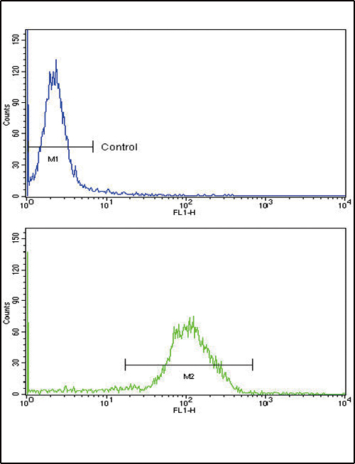 Flow cytometric of MDA-231 cells using NPPA Antibody (bottom histogram) compared to a negative control cell (top histogram). FITC-conjugated goat-anti-rabbit secondary antibodies were used for the analysis.