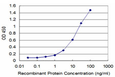 Detection limit for recombinant GST tagged MEF2B is approximately 1 ng/ml as a capture antibody.