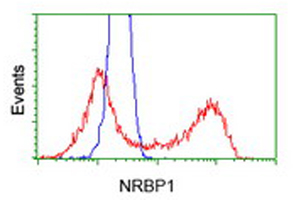 HEK293T cells transfected with either overexpress plasmid (Red) or empty vector control plasmid (Blue) were immunostained by anti-NRBP1 antibody, and then analyzed by flow cytometry.