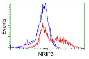 HEK293T cells transfected with either overexpress plasmid (Red) or empty vector control plasmid (Blue) were immunostained by anti-NRIP3 antibody, and then analyzed by flow cytometry.