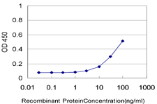 Detection limit for recombinant GST tagged NTNG2 is approximately 3 ng/ml as a capture antibody.