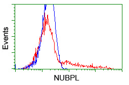 HEK293T cells transfected with either overexpress plasmid (Red) or empty vector control plasmid (Blue) were immunostained by anti-NUBPL antibody, and then analyzed by flow cytometry.
