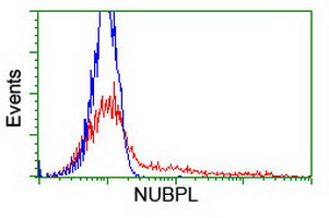 HEK293T cells transfected with either overexpress plasmid (Red) or empty vector control plasmid (Blue) were immunostained by anti-NUBPL antibody, and then analyzed by flow cytometry.