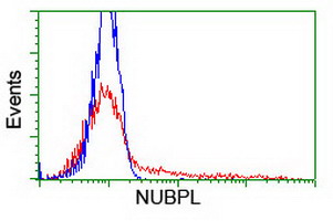 HEK293T cells transfected with either overexpress plasmid (Red) or empty vector control plasmid (Blue) were immunostained by anti-NUBPL antibody, and then analyzed by flow cytometry.