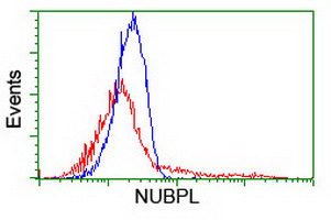 HEK293T cells transfected with either overexpress plasmid (Red) or empty vector control plasmid (Blue) were immunostained by anti-NUBPL antibody, and then analyzed by flow cytometry.