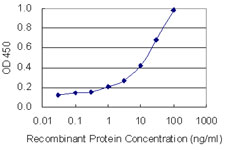 Detection limit for recombinant GST tagged NUCB2 is 0.3 ng/ml as a capture antibody.