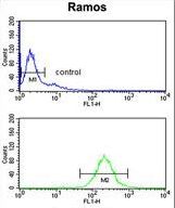 NUCKS1 Antibody flow cytometry of Ramos cells (bottom histogram) compared to a negative control cell (top histogram). FITC-conjugated goat-anti-rabbit secondary antibodies were used for the analysis.