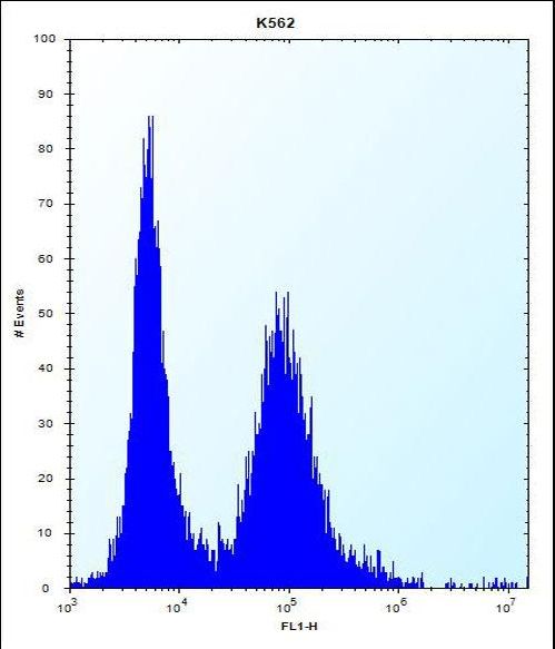 MEIG1 Antibody flow cytometry of K562 cells (right histogram) compared to a negative control cell (left histogram). FITC-conjugated donkey-anti-rabbit secondary antibodies were used for the analysis.