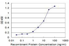 Detection limit for recombinant GST tagged NUDT1 is approximately 1 ng/ml as a capture antibody.