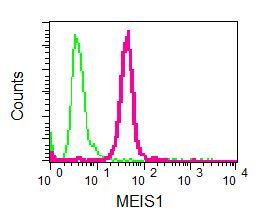 Flow cytometry of permeabilized K562 cells using anti-MEIS1 antibody (red)or a rabbit IgG (negative) (green).