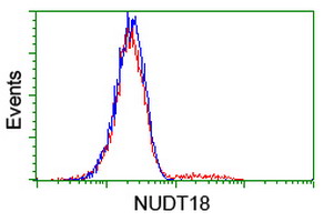 HEK293T cells transfected with either overexpress plasmid (Red) or empty vector control plasmid (Blue) were immunostained by anti-NUDT18 antibody, and then analyzed by flow cytometry.