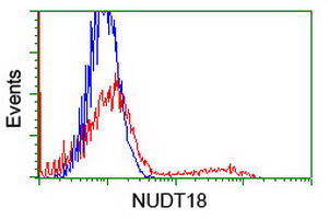 HEK293T cells transfected with either overexpress plasmid (Red) or empty vector control plasmid (Blue) were immunostained by anti-NUDT18 antibody, and then analyzed by flow cytometry.