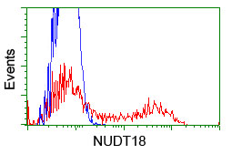 HEK293T cells transfected with either overexpress plasmid (Red) or empty vector control plasmid (Blue) were immunostained by anti-NUDT18 antibody, and then analyzed by flow cytometry.