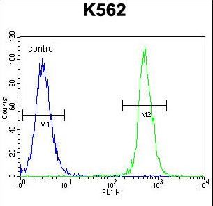 NUDT19 Antibody flow cytometry of K562 cells (right histogram) compared to a negative control cell (left histogram). FITC-conjugated goat-anti-rabbit secondary antibodies were used for the analysis.
