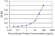 Detection limit for recombinant GST tagged NUDT2 is approximately 0.3 ng/ml as a capture antibody.
