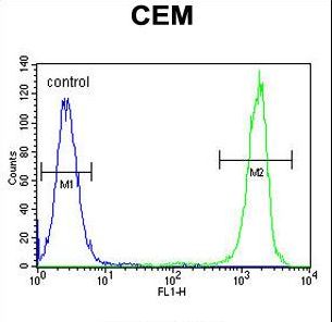 NUDT22 Antibody flow cytometry of CEM cells (right histogram) compared to a negative control cell (left histogram). FITC-conjugated goat-anti-rabbit secondary antibodies were used for the analysis.