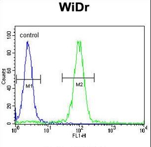 MEIS2 Antibody (Center D269) flow cytometry of WiDr cells (right histogram) compared to a negative control cell (left histogram). FITC-conjugated goat-anti-rabbit secondary antibodies were used for the analysis.