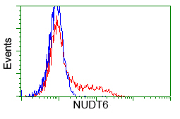 HEK293T cells transfected with either overexpress plasmid (Red) or empty vector control plasmid (Blue) were immunostained by anti-NUDT6 antibody, and then analyzed by flow cytometry.