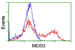 HEK293T cells transfected with either overexpress plasmid (Red) or empty vector control plasmid (Blue) were immunostained by anti-MEIS3 antibody, and then analyzed by flow cytometry.