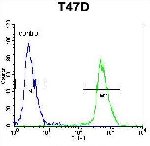 NUP210 Antibody flow cytometry of T47D cells (right histogram) compared to a negative control cell (left histogram). FITC-conjugated goat-anti-rabbit secondary antibodies were used for the analysis.