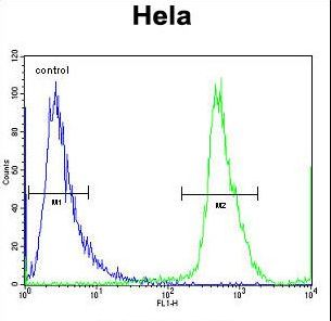 NUP35 Antibody flow cytometry of HeLa cells (right histogram) compared to a negative control cell (left histogram). FITC-conjugated goat-anti-rabbit secondary antibodies were used for the analysis.