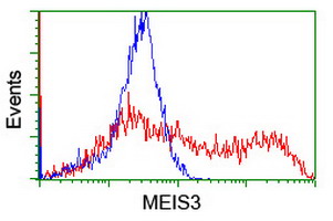 HEK293T cells transfected with either overexpress plasmid (Red) or empty vector control plasmid (Blue) were immunostained by anti-MEIS3 antibody, and then analyzed by flow cytometry.