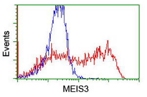 HEK293T cells transfected with either overexpress plasmid (Red) or empty vector control plasmid (Blue) were immunostained by anti-MEIS3 antibody, and then analyzed by flow cytometry.