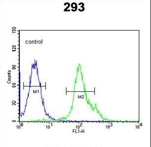 NXPH1 Antibody flow cytometry of 293 cells (right histogram) compared to a negative control cell (left histogram). FITC-conjugated goat-anti-rabbit secondary antibodies were used for the analysis.