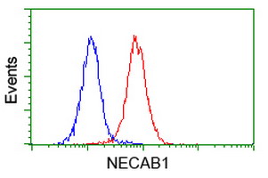 Flow cytometry of Jurkat cells, using anti-NECAB1 antibody (Red), compared to a nonspecific negative control antibody (Blue).